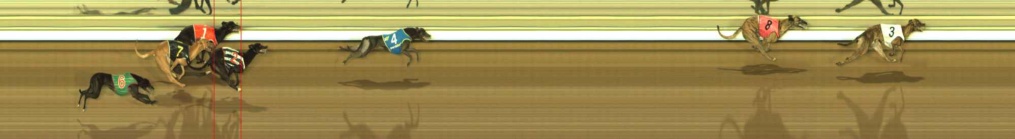 Photo finish for The Meadows Race 9
