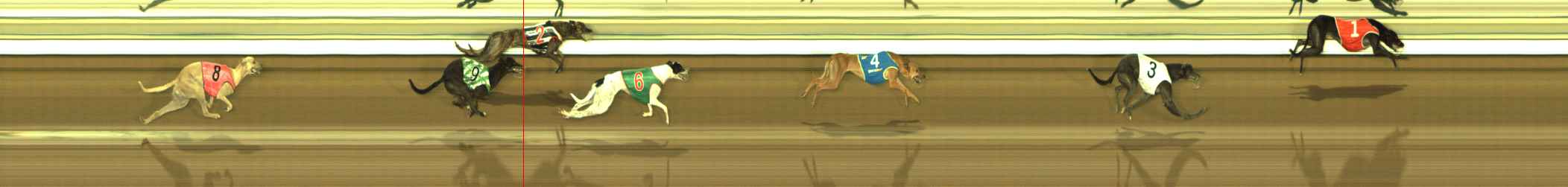 Photo finish for The Meadows Race 6