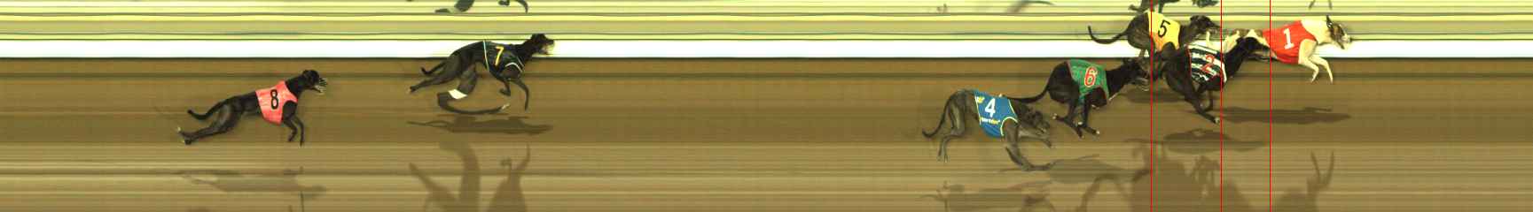 Photo finish for The Meadows Race 8