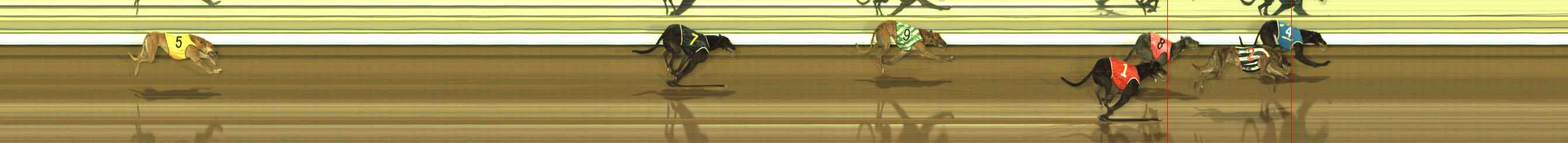 Photo finish for The Meadows Race 9