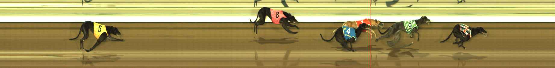 Photo finish for The Meadows Race 10