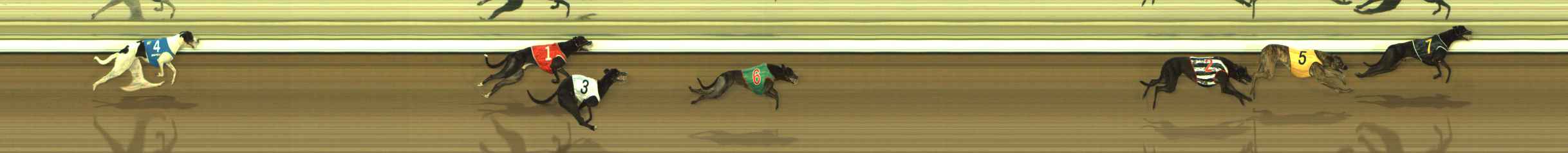 Photo finish for The Meadows Race 3