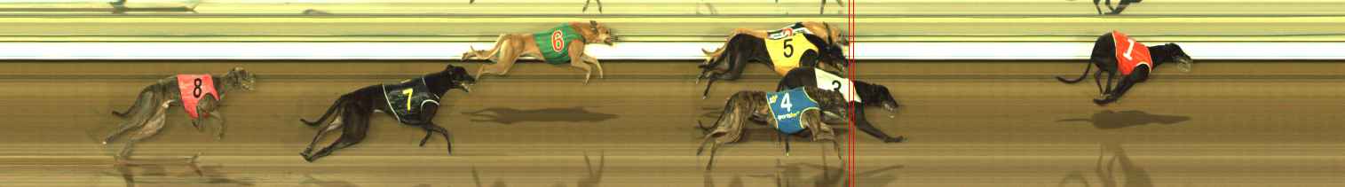 Photo finish for The Meadows Race 10