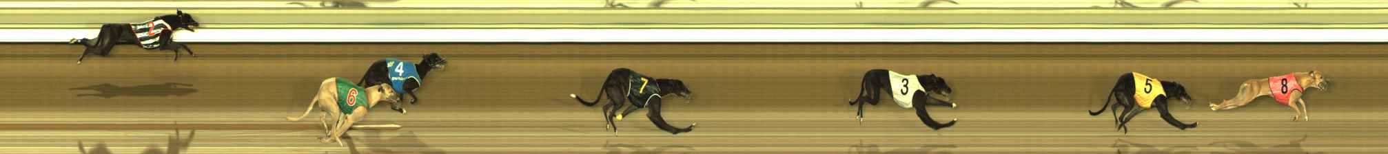 Photo finish for The Meadows Race 11