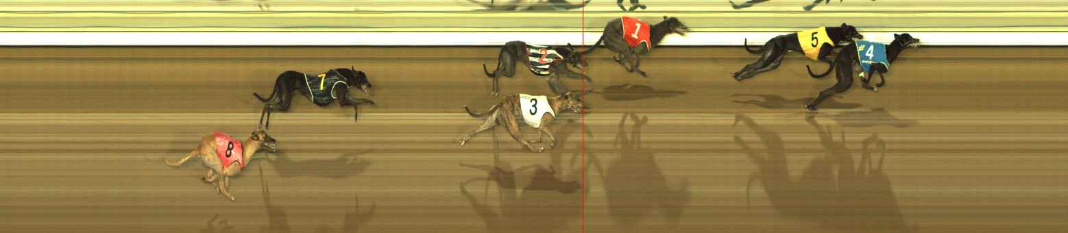 Photo finish for The Meadows Race 12