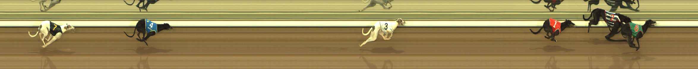 Photo finish for The Meadows Race 1
