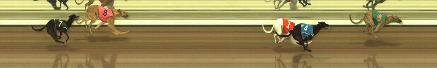 Photo finish for The Meadows Race 2