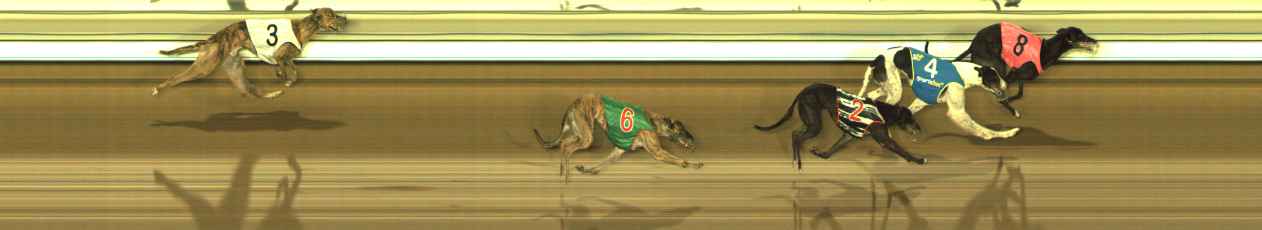 Photo finish for The Meadows Race 7