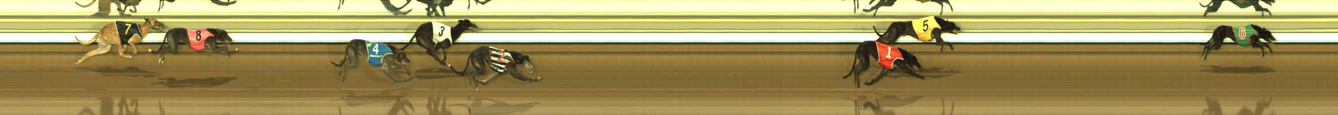 Photo finish for The Meadows Race 8