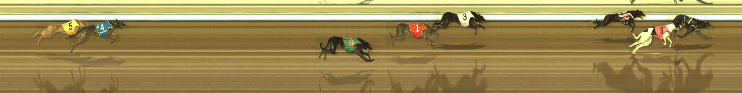 Photo finish for The Meadows Race 10