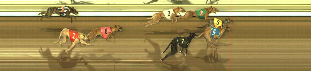 Photo finish for The Meadows Race 11