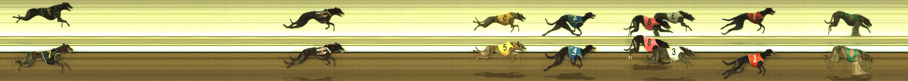 Photo finish for The Meadows Race 5