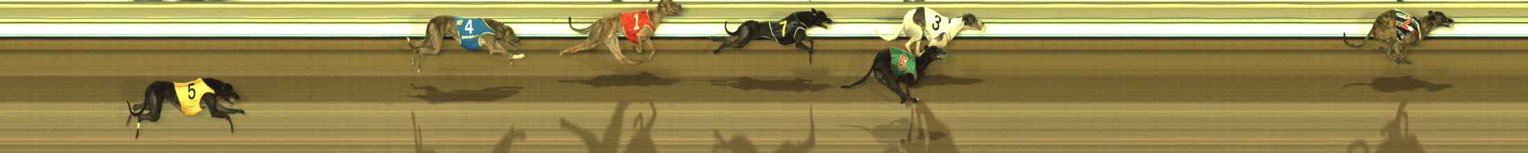 Photo finish for The Meadows Race 6