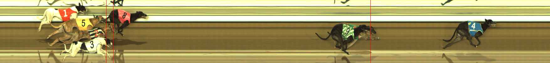 Photo finish for The Meadows Race 11