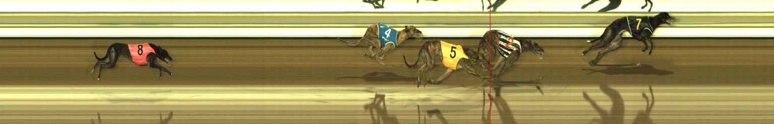 Photo finish for The Meadows Race 2