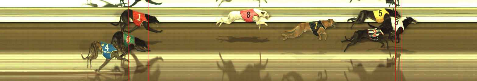 Photo finish for The Meadows Race 5