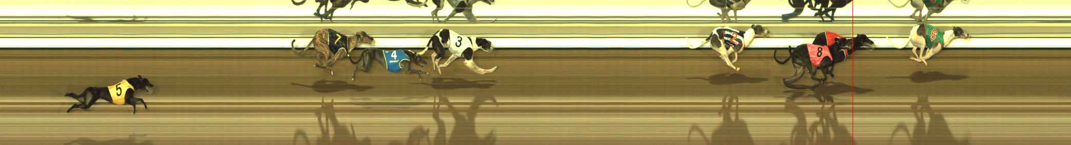 Photo finish for The Meadows Race 7