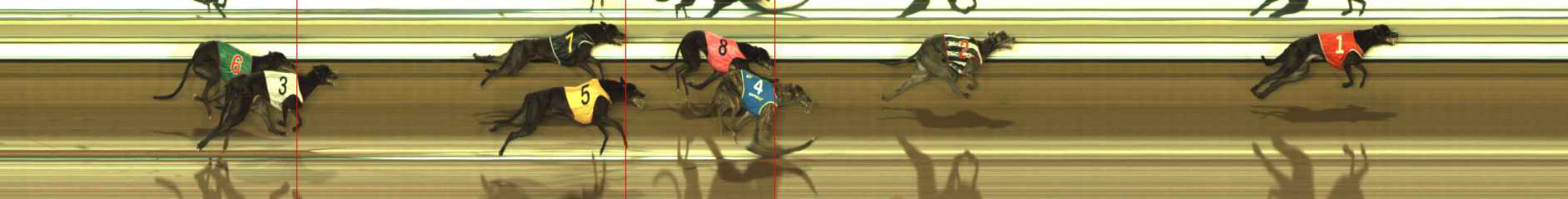 Photo finish for The Meadows Race 8