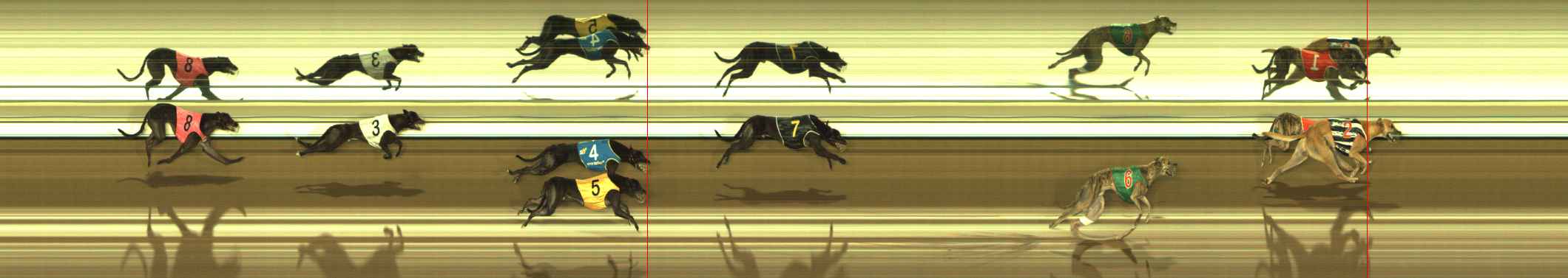 Photo finish for The Meadows Race 9