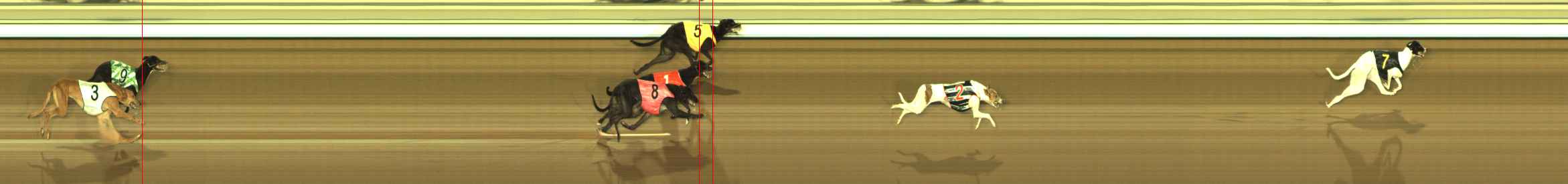 Photo finish for The Meadows Race 1