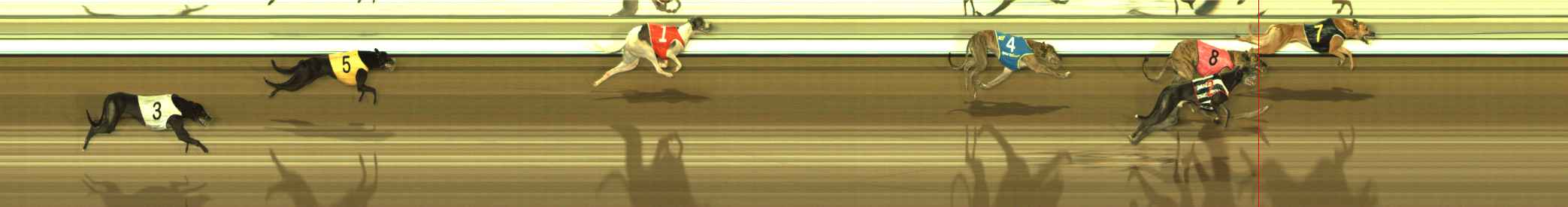 Photo finish for The Meadows Race 6