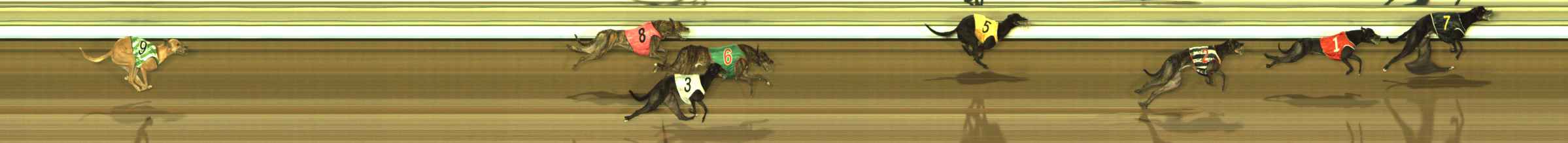 Photo finish for The Meadows Race 7