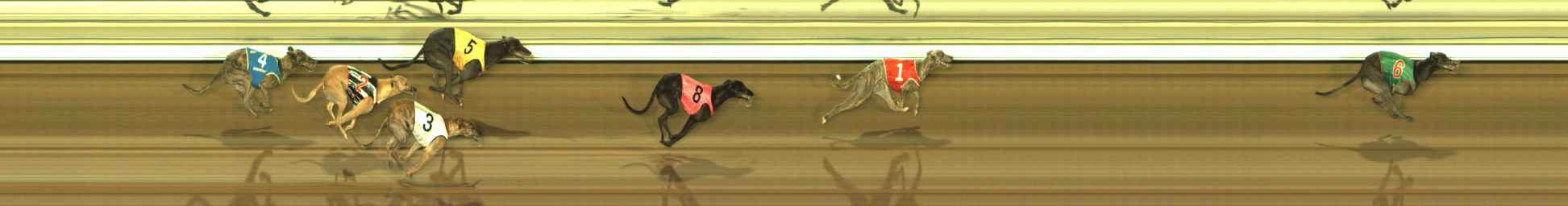 Photo finish for The Meadows Race 8