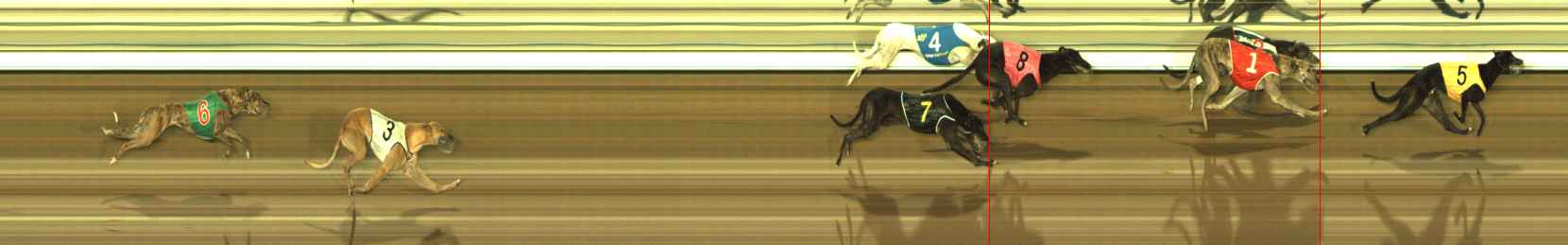 Photo finish for The Meadows Race 9
