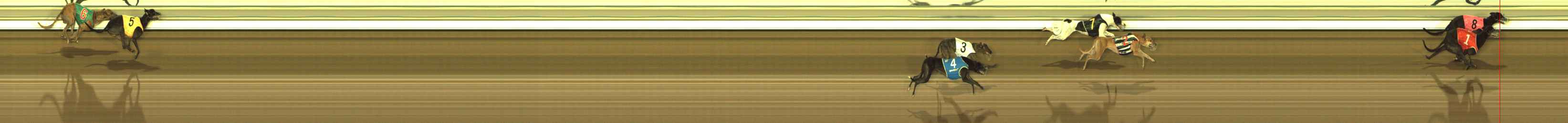 Photo finish for The Meadows Race 10