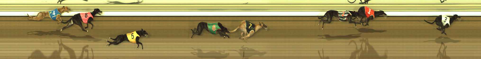 Photo finish for The Meadows Race 12