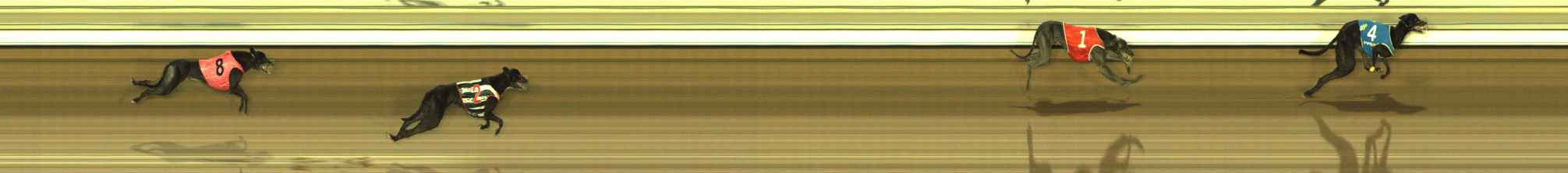 Photo finish for The Meadows Race 4