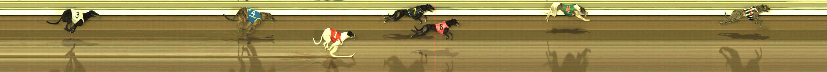 Photo finish for The Meadows Race 5