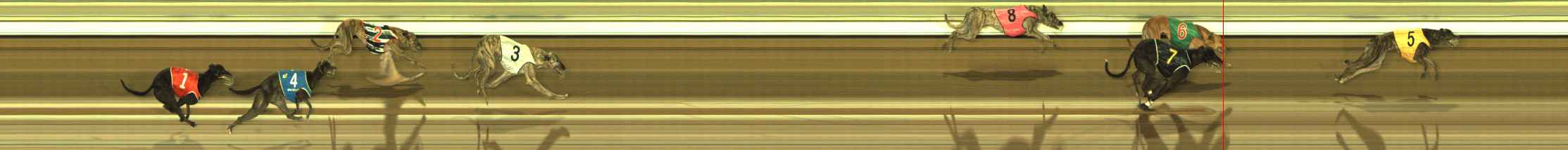 Photo finish for The Meadows Race 6