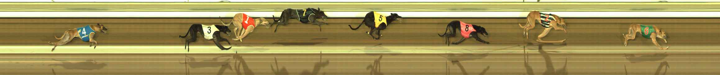 Photo finish for The Meadows Race 7