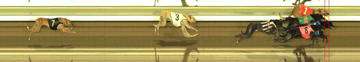 Photo finish for The Meadows Race 8