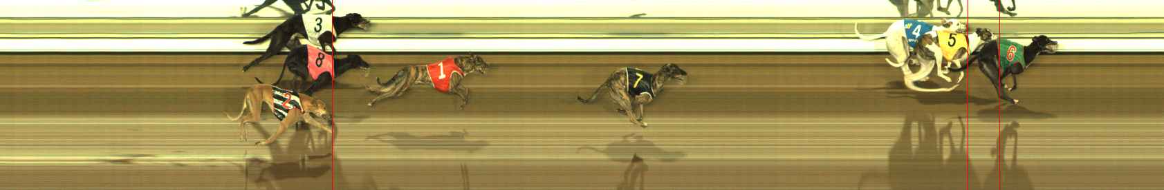 Photo finish for The Meadows Race 9