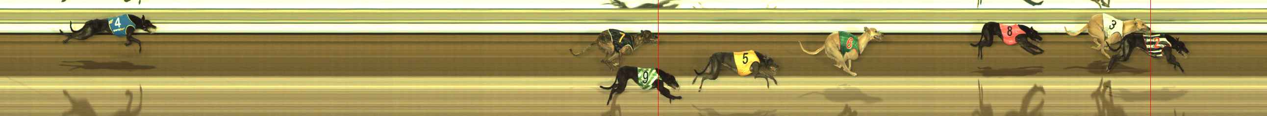 Photo finish for The Meadows Race 11