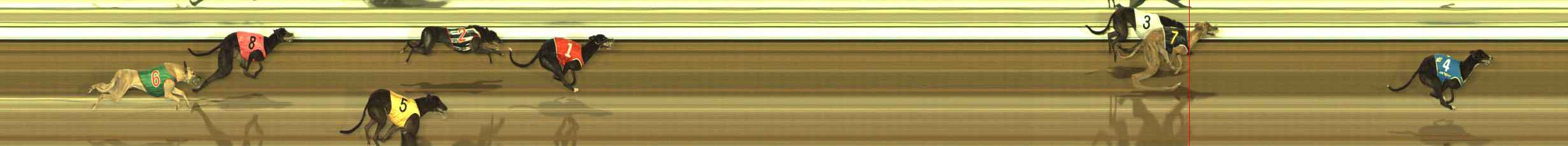 Photo finish for The Meadows Race 12