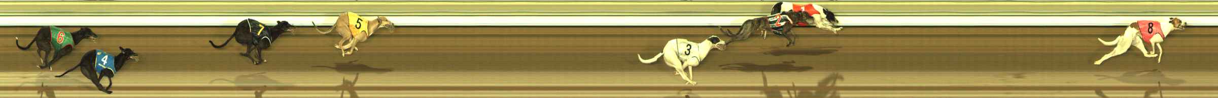 Photo finish for The Meadows Race 5