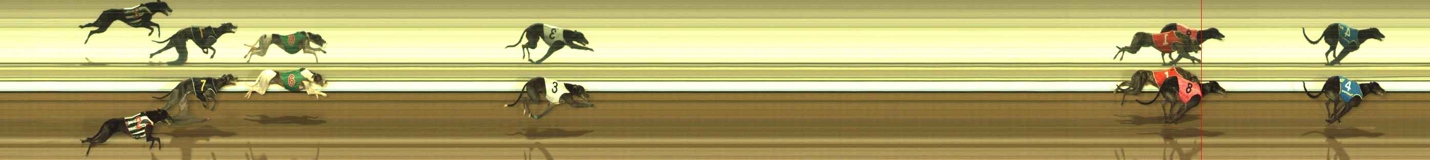 Photo finish for The Meadows Race 8