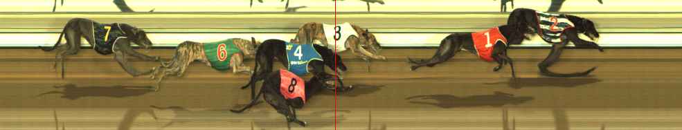Photo finish for The Meadows Race 9