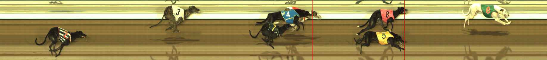 Photo finish for The Meadows Race 10