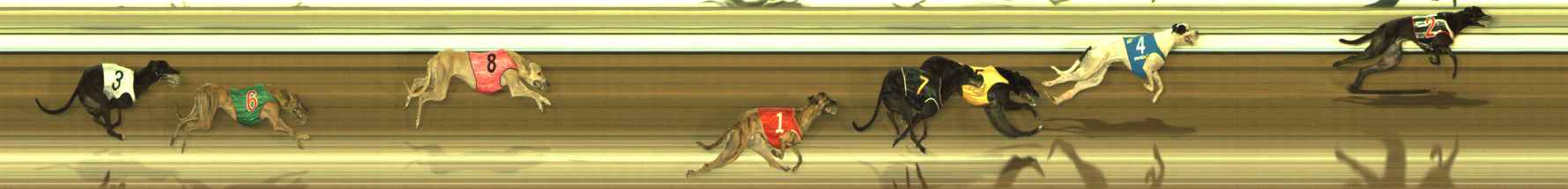 Photo finish for The Meadows Race 11