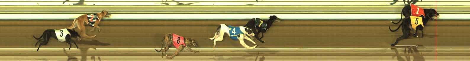 Photo finish for The Meadows Race 12