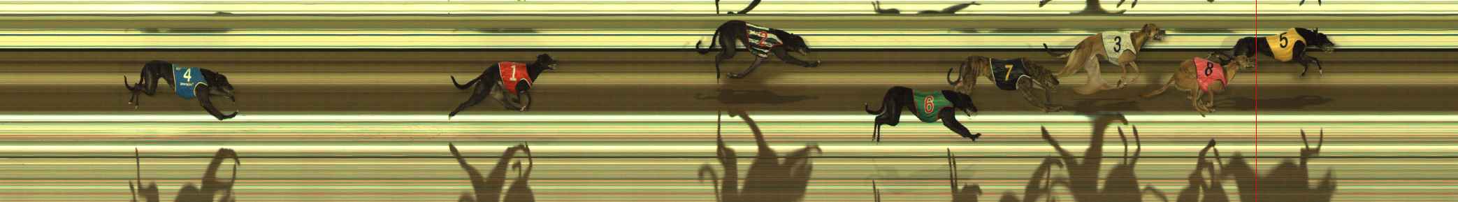 Photo finish for The Meadows Race 1
