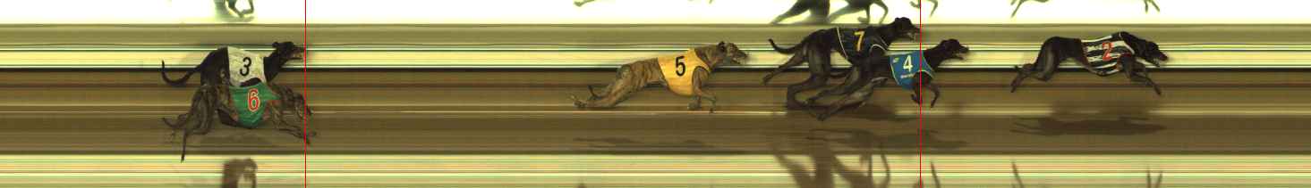 Photo finish for The Meadows Race 8