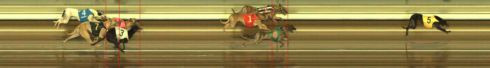 Photo finish for The Meadows Race 11