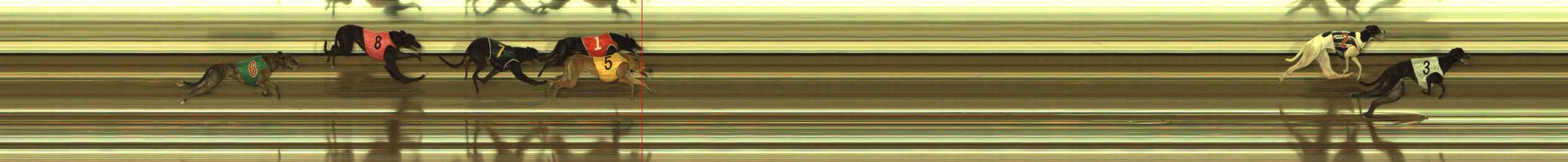 Photo finish for The Meadows Race 12