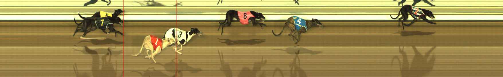 Photo finish for The Meadows Race 1