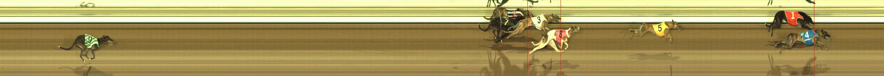 Photo finish for The Meadows Race 5